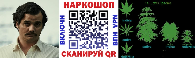 Купить закладку АМФ  Alpha PVP  Псилоцибиновые грибы  ГЕРОИН  Кодеин  МАРИХУАНА  Меф  Кимовск