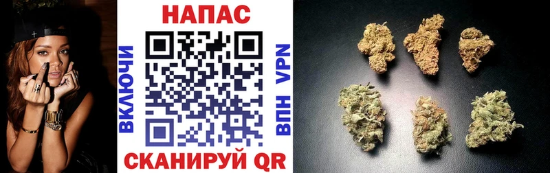 Конопля OG Kush Кимовск